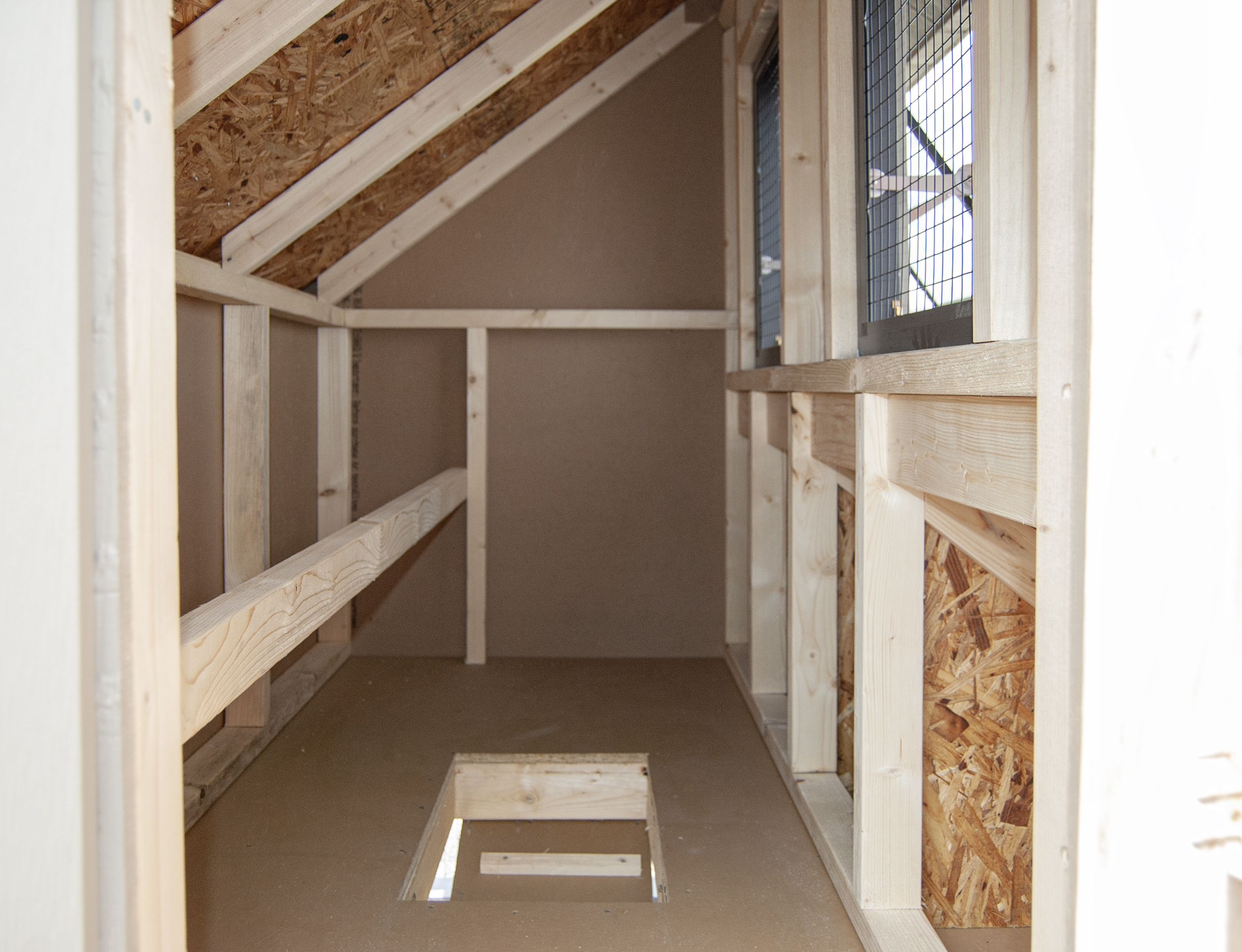 Interior Of 4x6 Mini Chicken Condo with Roost, Nesting Boxes, Windows, and Ramp to lower run area